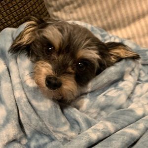 Meet your Posher, Haley